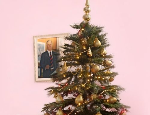 Atmosfera di fine anno 2025! Radiatori di Design Elettrici & Tecnologia Sinterizzata | HOM